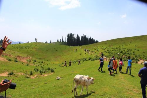 mushkpuri top tour