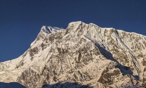 nanga parbat expedition